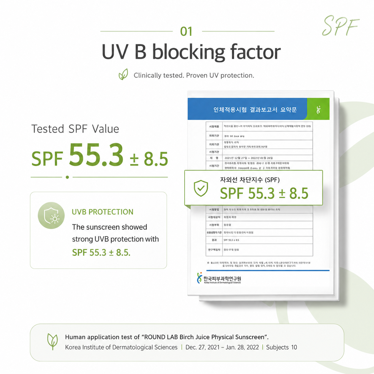 ROUND LAB Birch Mild-Up UVlock SPF 50+