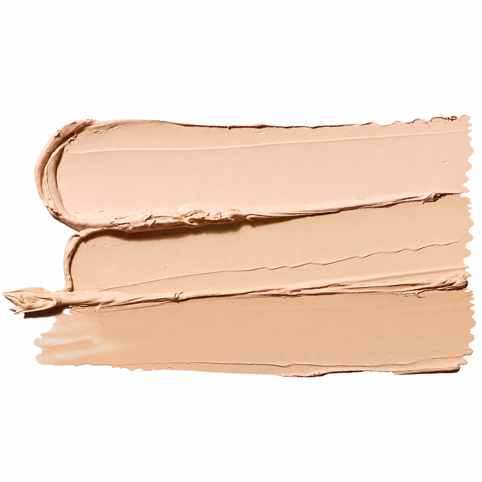 TFIT Cover Up Pro Concealer