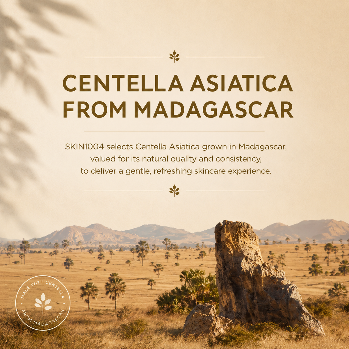 SKIN1004 Madagascar Centella Ampoule