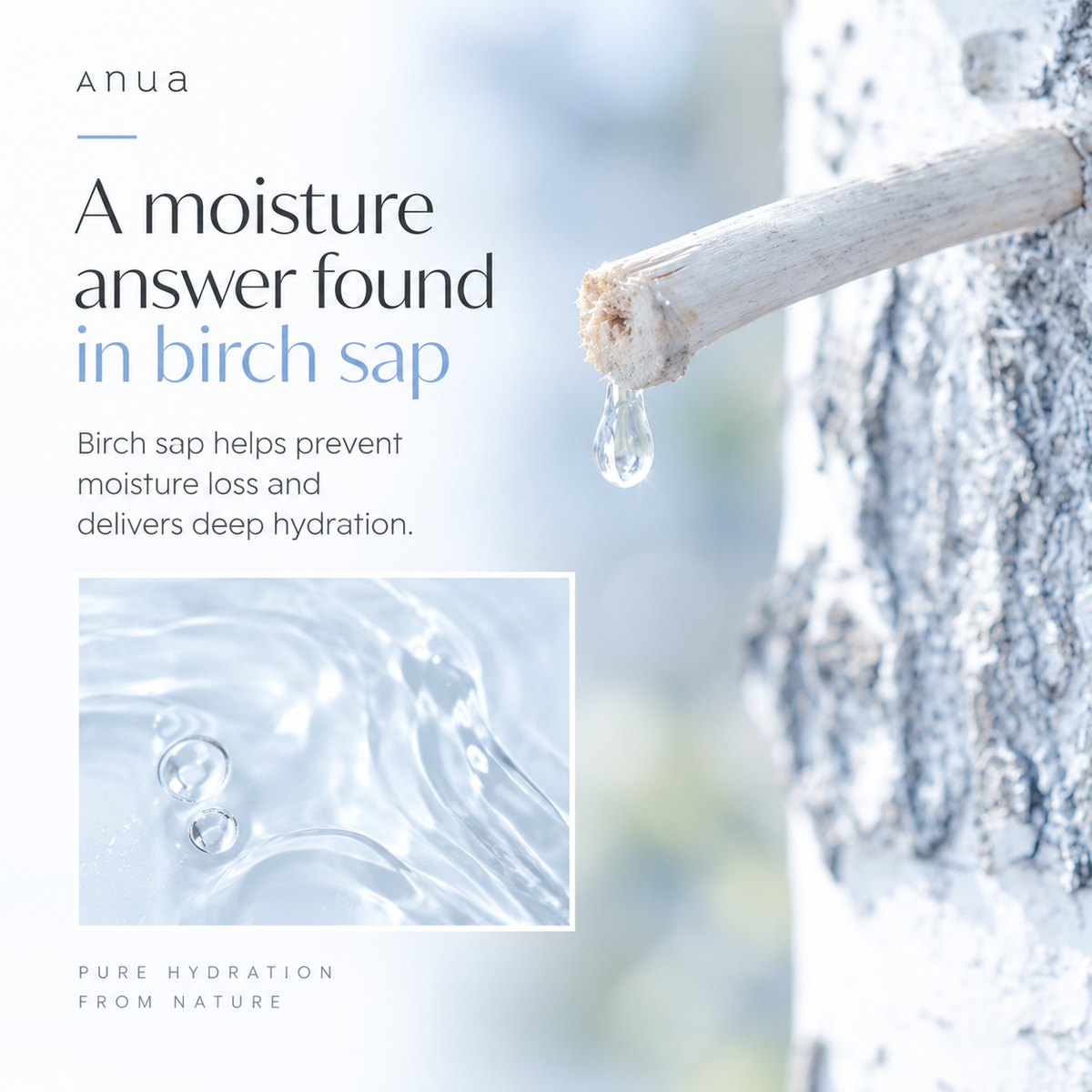 ANUA Birch Moisture Boosting Serum