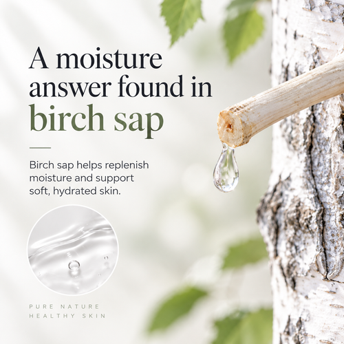 Load image 1 in gallery view. ANUA Birch Moisture Boosting Pad