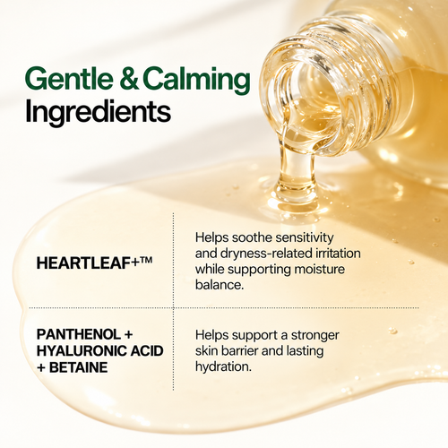 Load image 1 in gallery view. ANUA Heartleaf 80 Moisture Soothing Ampoule