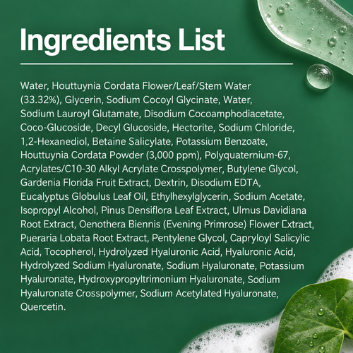 Load image 1 in gallery view. ANUA Heartleaf Quercetinol Pore Deep Cleansing Foam