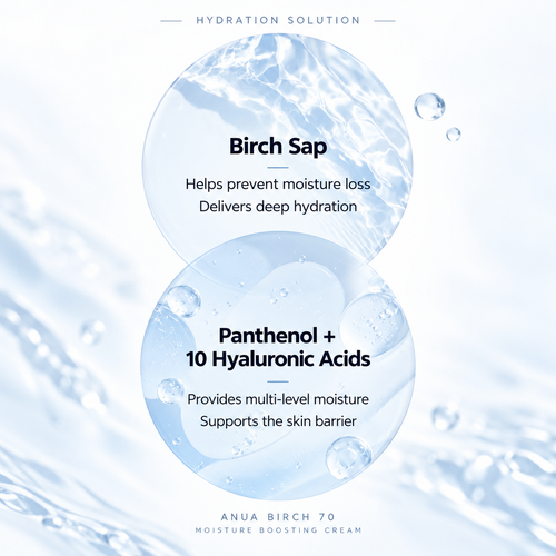 Load image 1 in gallery view. ANUA Birch 70 Moisture Boosting Cream