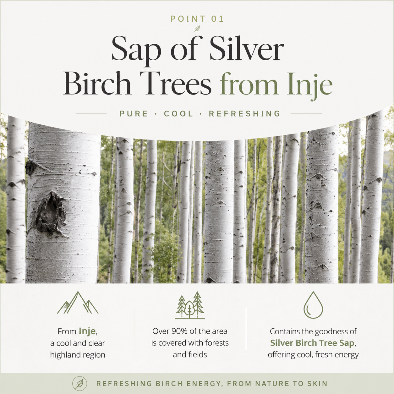 ROUND LAB Birch Mild-Up UVlock SPF 50+