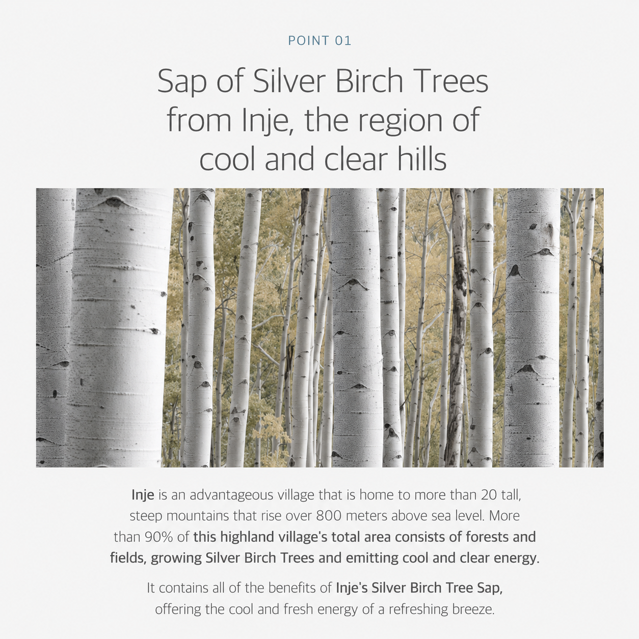ROUND LAB Birch Juice Moisturizing Cream