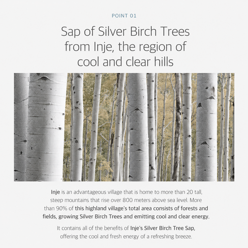 Load image 1 in gallery view. ROUND LAB Birch Juice Moisturizing Cream