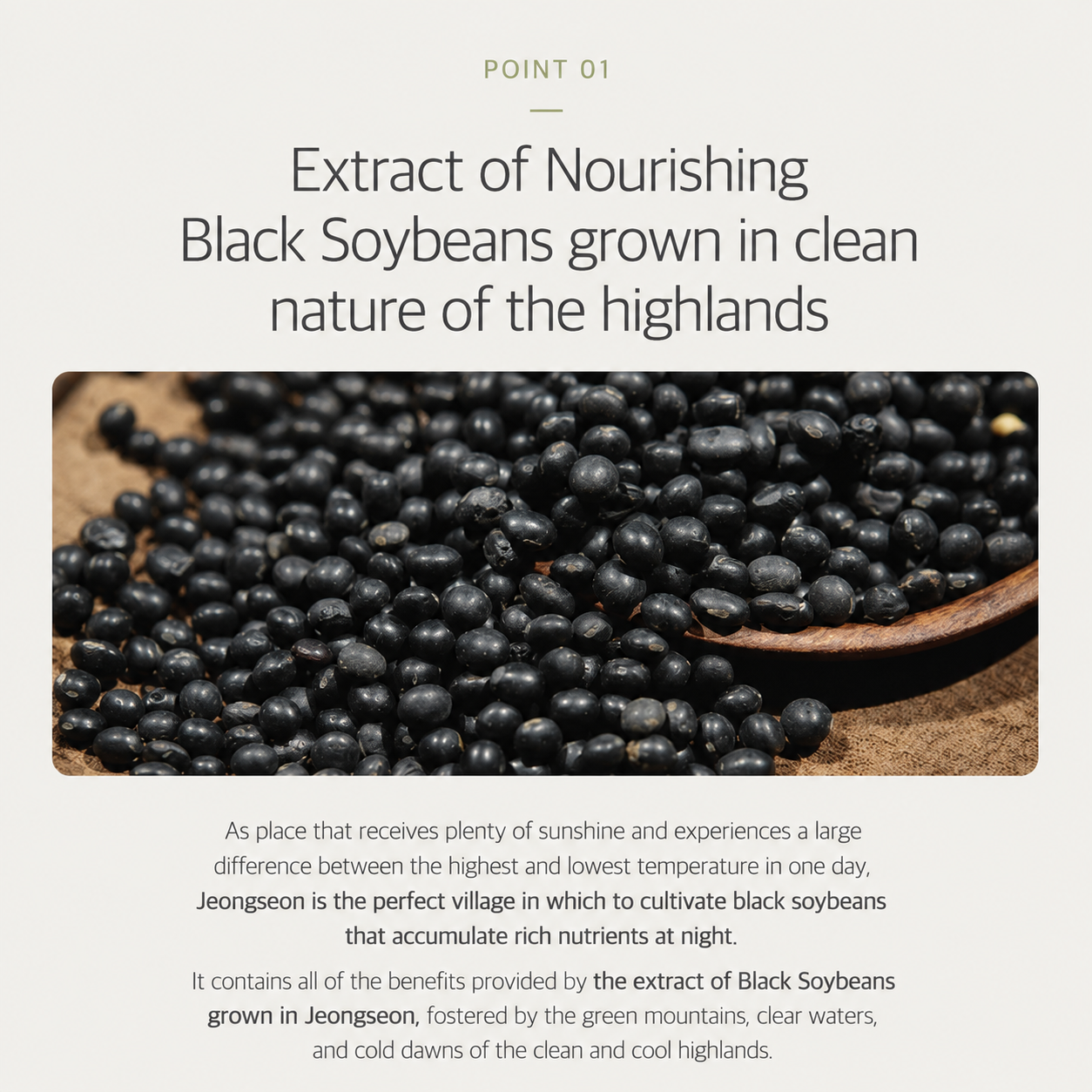 ROUND LAB Soybean Nourishing Cleanser 150ml