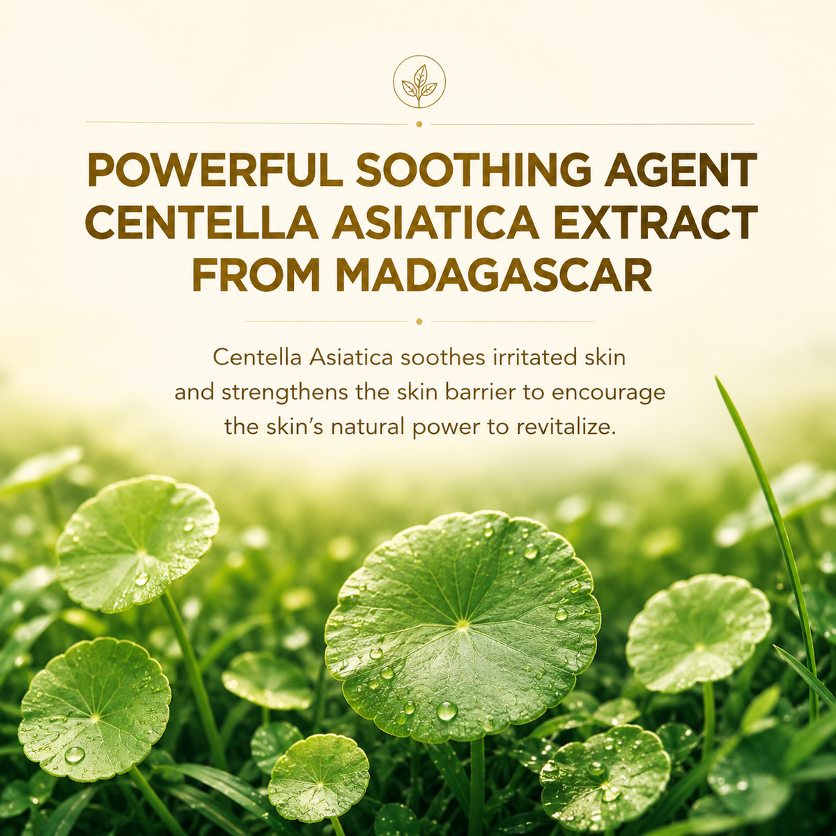 SKIN1004 Madagascar Centella Toning Toner