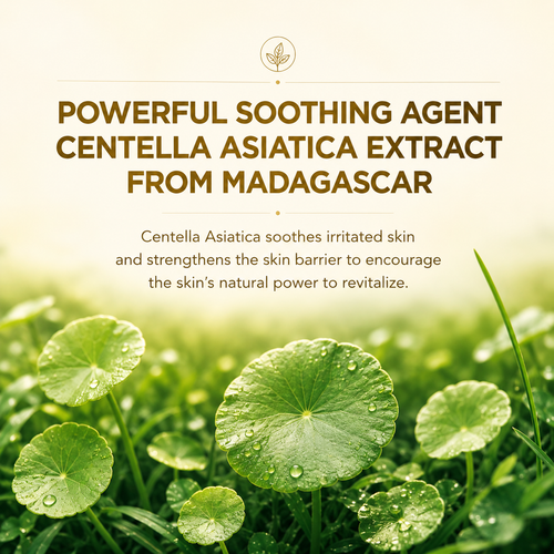 Load image 1 in gallery view. SKIN1004 Madagascar Centella Toning Toner