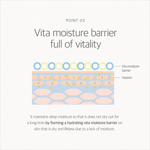 Load image 1 in gallery view. ROUND LAB Birch Juice Moisturizing Cream