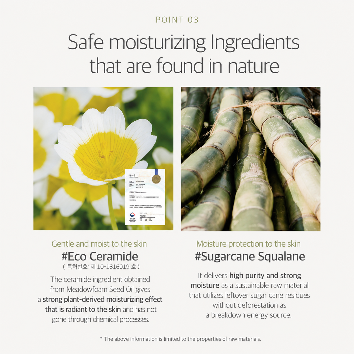 ROUND LAB Soybean Nourishing Cleanser