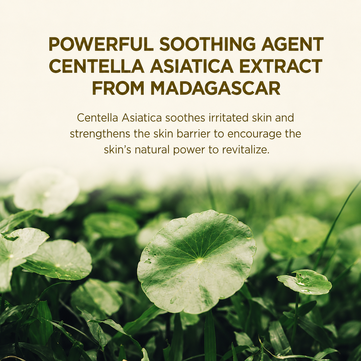 SKIN1004 Madagascar Centella Watergel Sheet Ampoule Mask