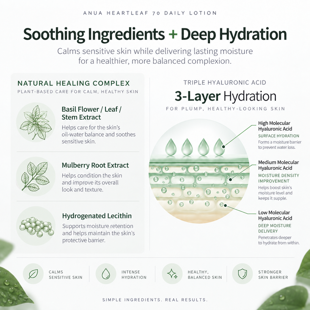 ANUA Heartleaf 70 Daily Lotion