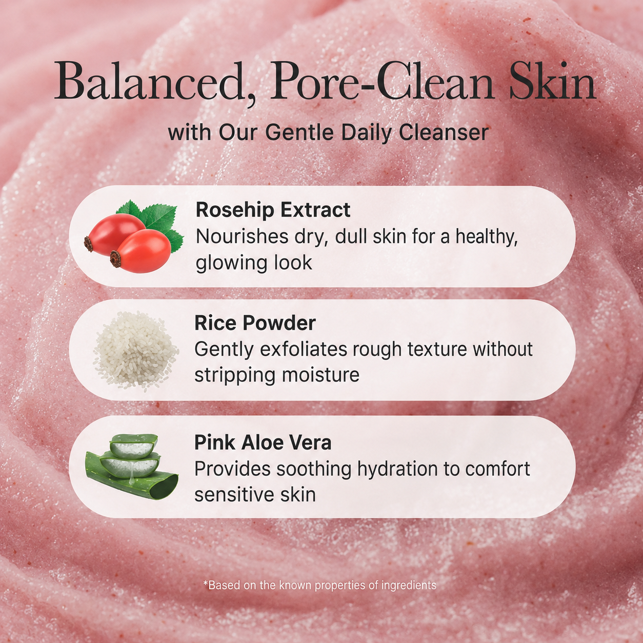 ARENCIA Fresh Rosehip Rice Mochi Cleanser