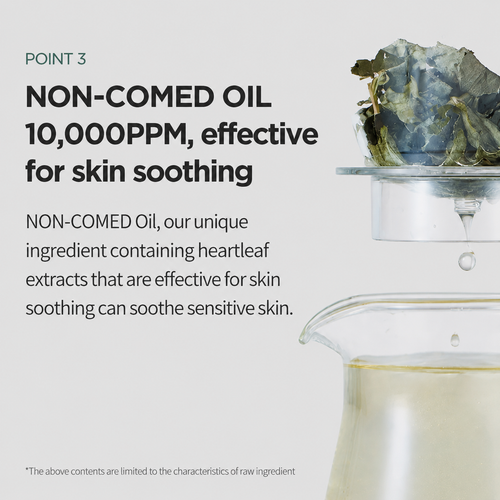Load image 1 in gallery view. ANUA Heartleaf Pore Control Cleansing Oil