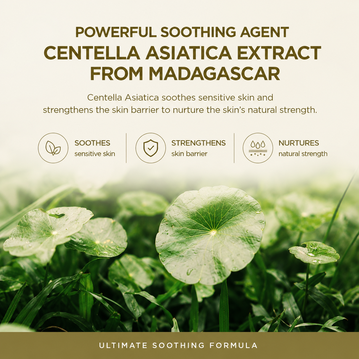 SKIN1004 Madagascar Centella Air-Fit Suncream Plus SPF 50+