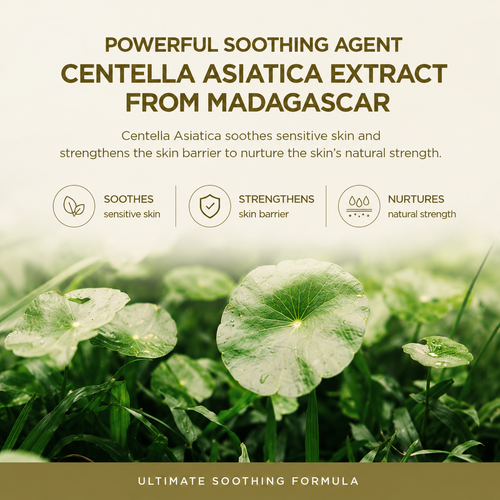 Load image 1 in gallery view. SKIN1004 Madagascar Centella Air-Fit Suncream Plus SPF 50+