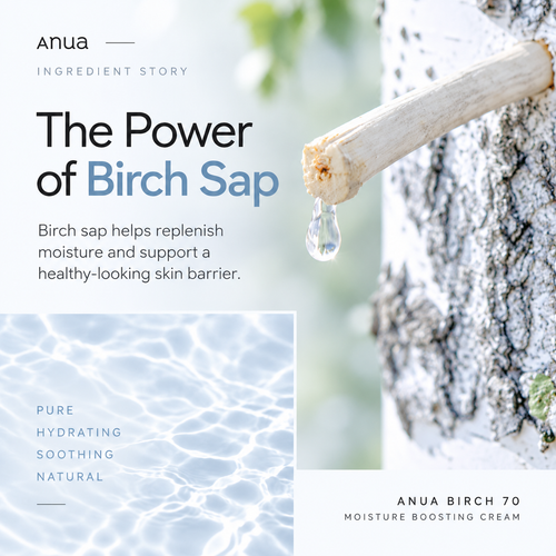 Load image 1 in gallery view. ANUA Birch 70 Moisture Boosting Cream