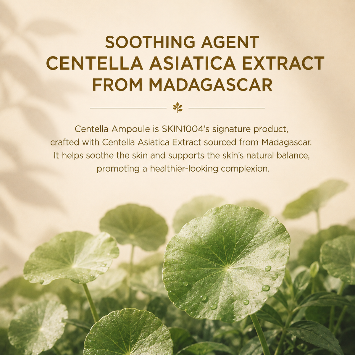 SKIN1004 Madagascar Centella Ampoule