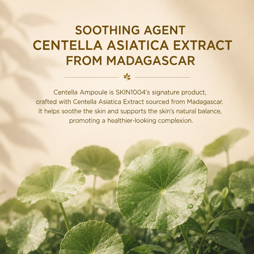 Load image 1 in gallery view. SKIN1004 Madagascar Centella Ampoule