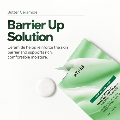 Load image 1 in gallery view. ANUA Heartleaf Cream Mask Night Solution