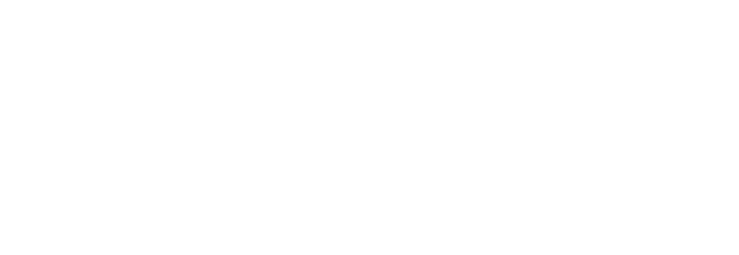 seoulistic-logo-white
